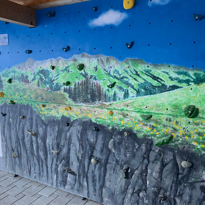 Kletterwand auf dem Höchst - 5.6 m2