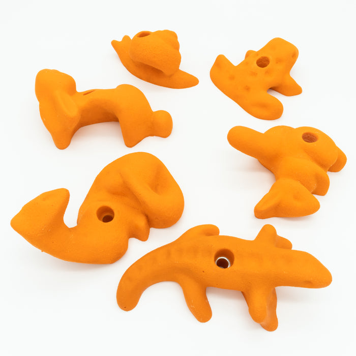 Elephant climbing hold