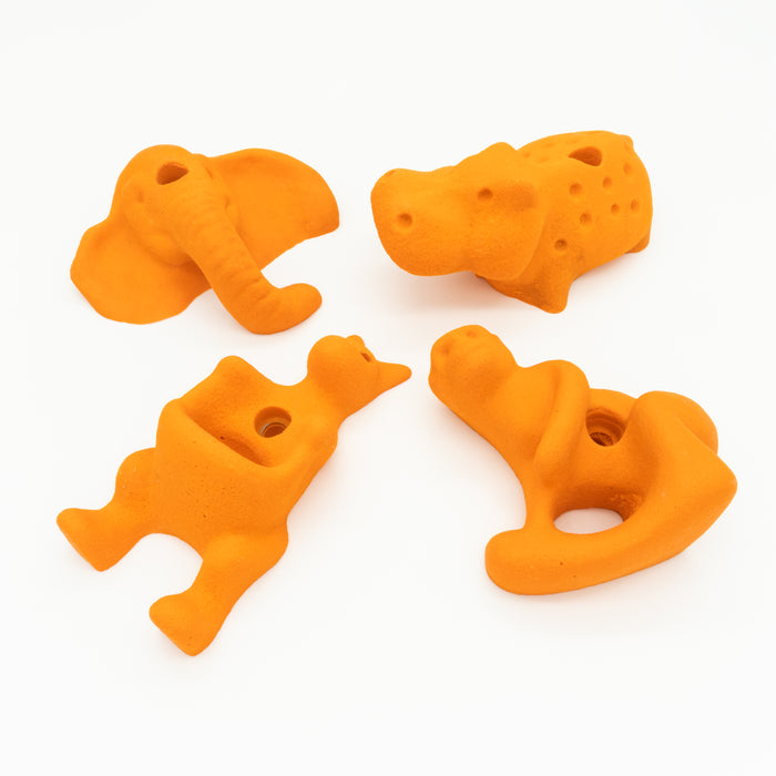 DK Set Prises d'escalade Animaux Tropiques