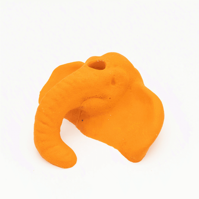 Elephant climbing hold