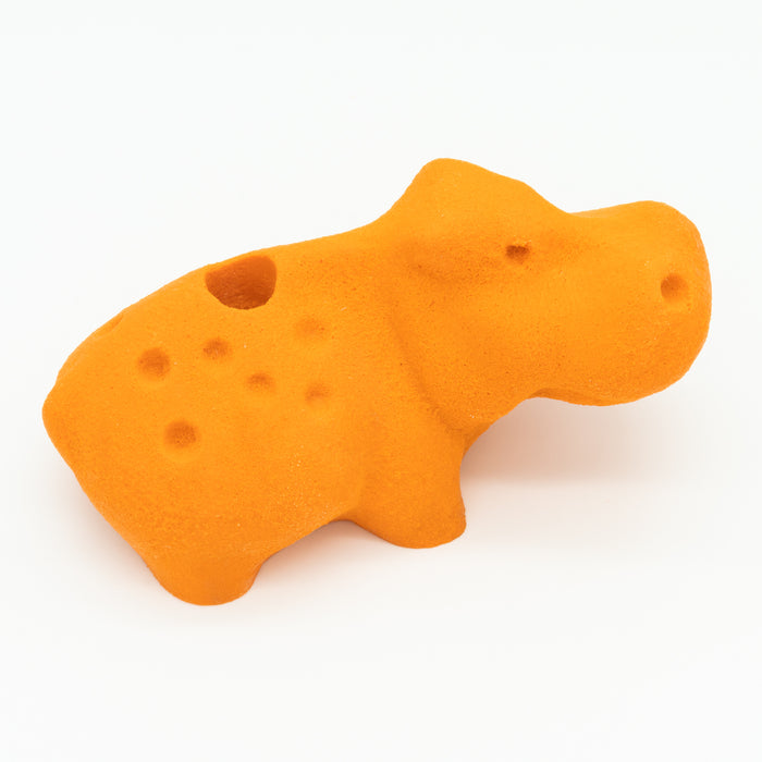 Hippopotamus climbing hold