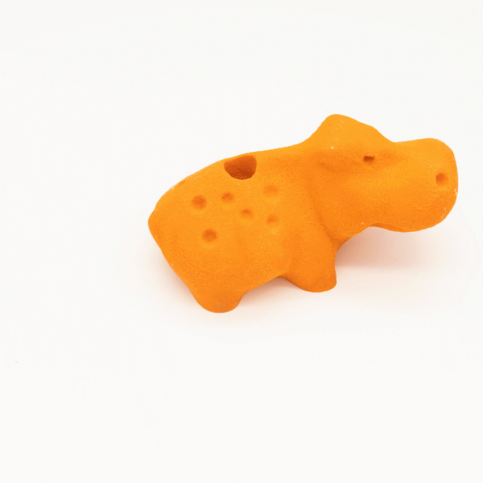 Hippopotamus climbing hold