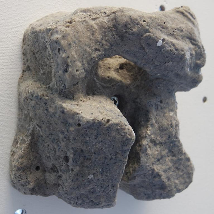 Vertics Calfs compression sleeves for calves 